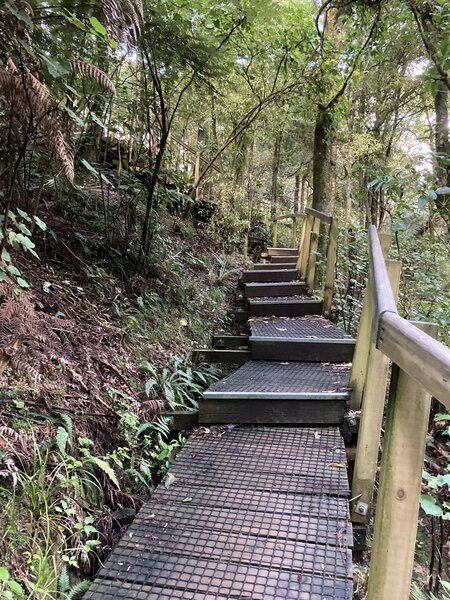 Pukemokemoke stairs