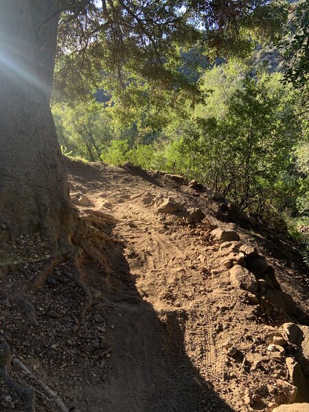 Easy switchbacks on Jesusita.