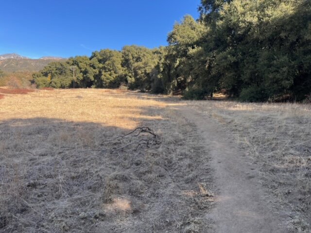 Hiking at Wildwood Canyon in Yucaipa, ca. Oak Tree Loop - one mile easy to moderate hike.