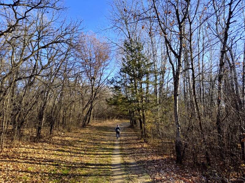 On the Hill Trail.