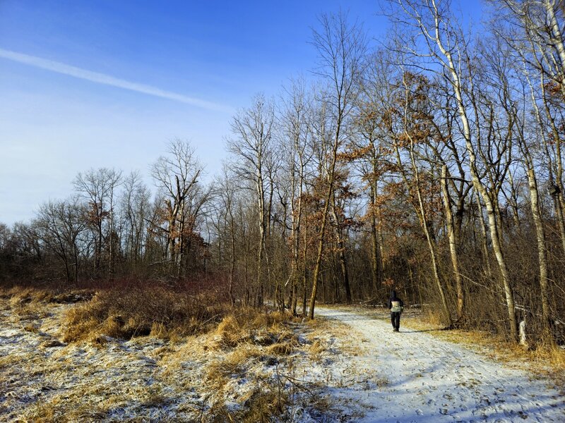 A marsh along the Poplar Creek Trail in winter.