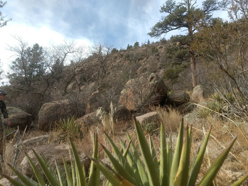 The dry landscape on lower Fatmans Loop