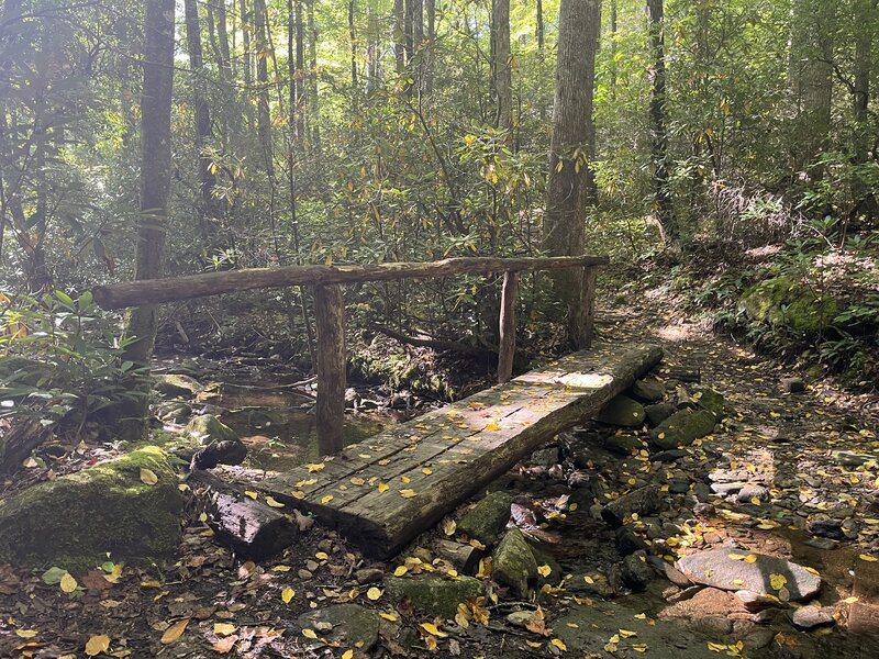 The Pilot Rock Trail crosses Bradley Creek via a sturdy footbridge near its southern end.