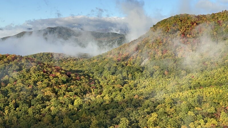 Fog burning off on a Fall morning along Pilot Cove Trail