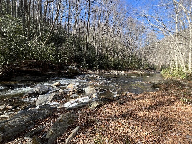 One of many wide, unbridged creek crossings on the South Mills River Trail.