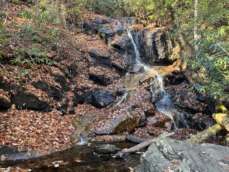 Log Hollow Falls during low flow on an autumn day.