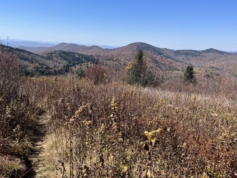 The top of the Green Mountain Trail traverses Fork Ridge Meadow with gorgeous views of the surrounding high mountains.