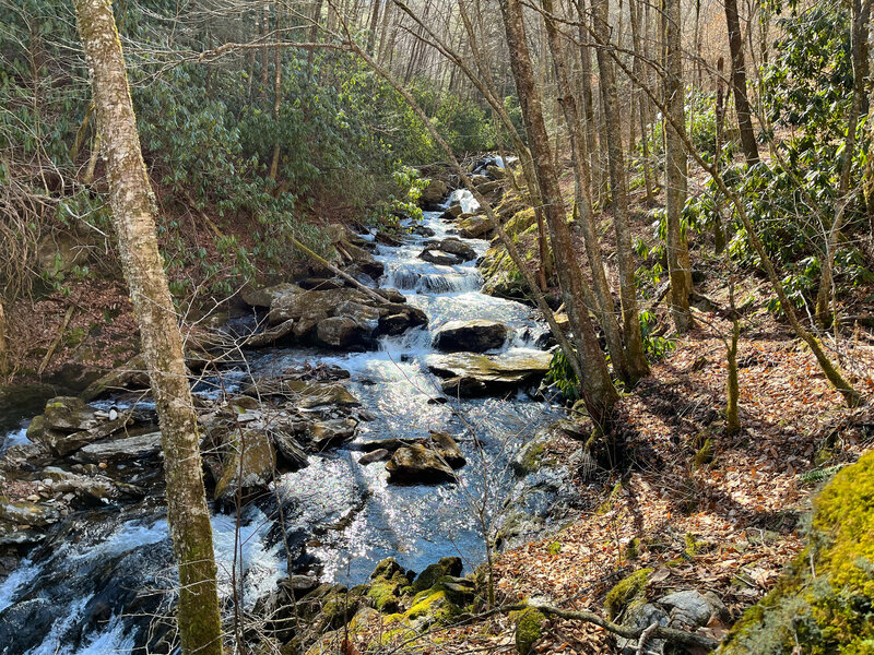 Haywood Gap Trail as it skirts alongside its namesake stream on a cold winter day.