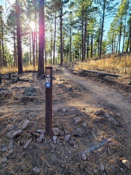 Soldier's Trail intersection