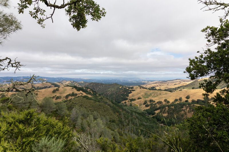 Overcast views from Wall Point Road.