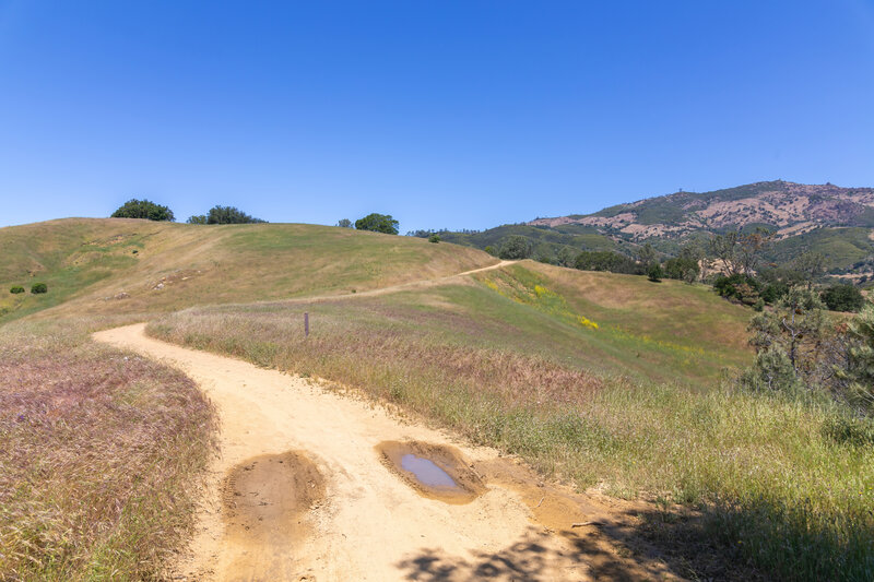 View from Knobcone Point Road towards Mount Diablo.