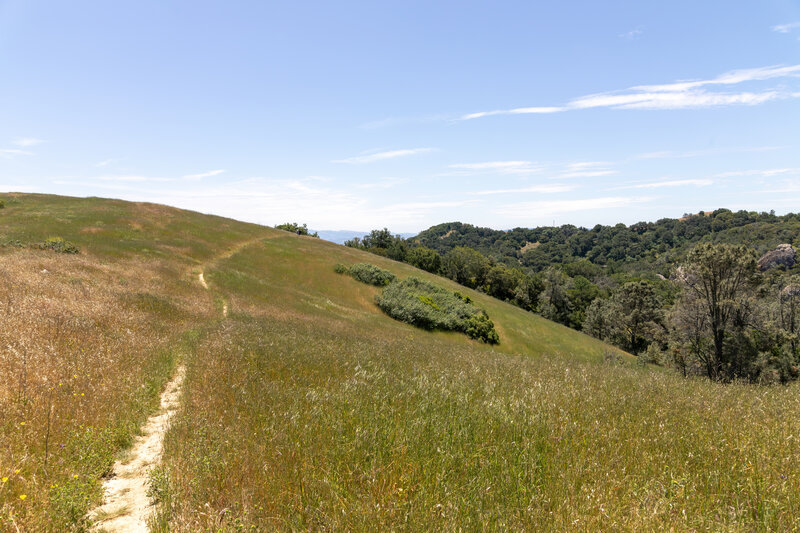 The start of Camp Force Trail.