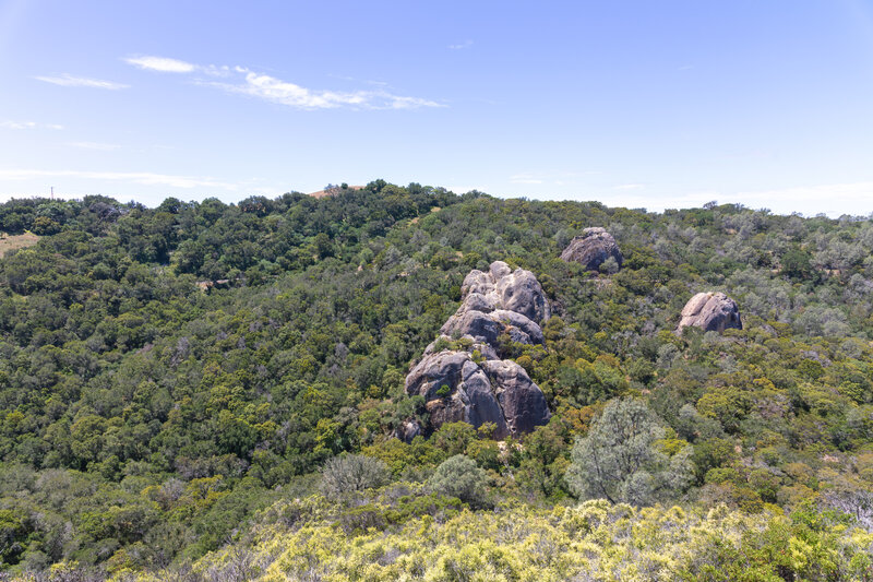 Camp Force Overlook