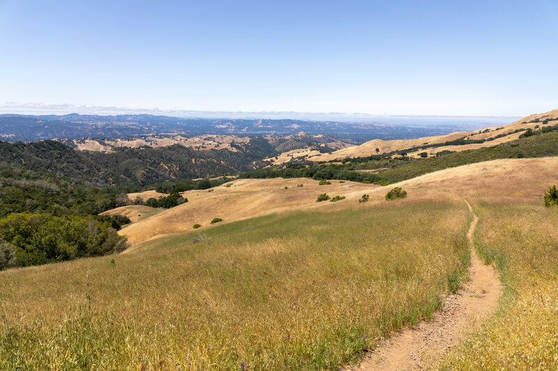 Pine Canyon from Wildcat Trail.