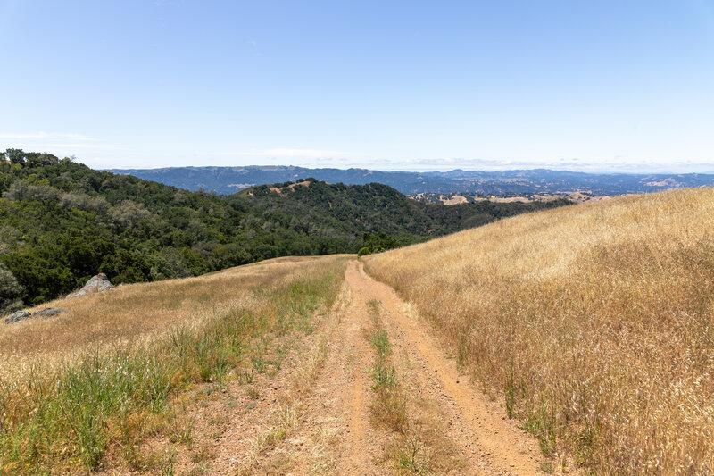 Descending into Pine Canyon.