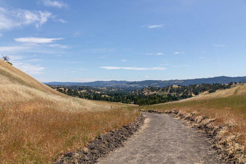 The final descent on Wall Point Road towards Danville.