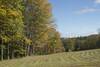 The Summer Pasture can be viewed along the trail.   In the Fall, it is a beautiful scene as the leaves change color on the trees at the edge of the pasture.