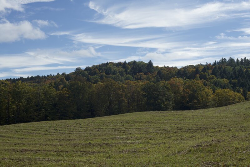 The view across the pasture is beautiful, especially in the fall.