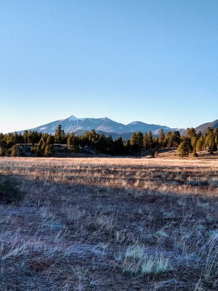View of the San Francisco Peaks for the Rio De Flag Trail.