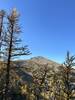 False summit of Sweeney Peak, seen from the east.