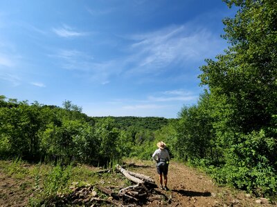 The view from the overlook.