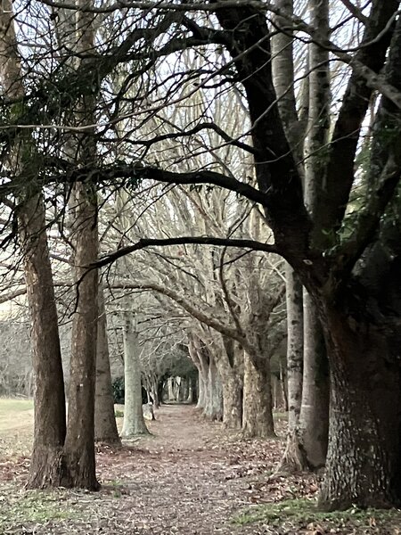 Into the tunnel.