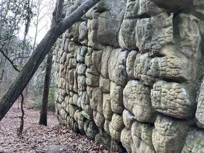 Strange stone walls line the edges of this canyon.
