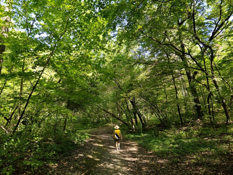 On the Cherrywood Trail in August.