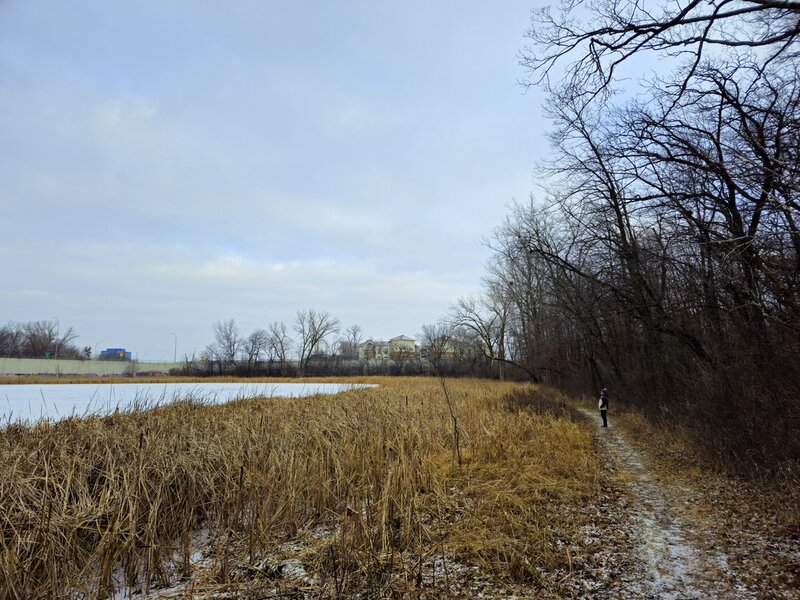 Past a small unnamed lake along the Cherrywood Trail.