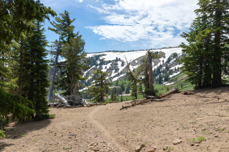 A first glimpse of the snow covered northern slopes ahead.