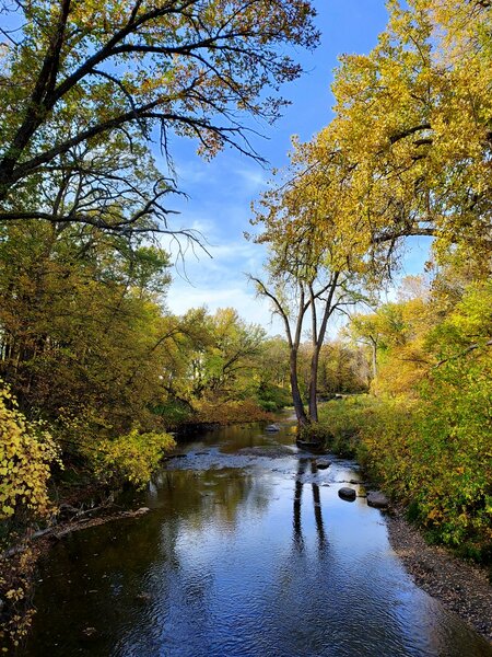 Buffalo River from the bridge near Intersection N.