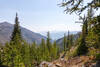 Looking down the Scatter Creek Valley.