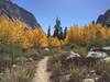 Paradise Valley Trail