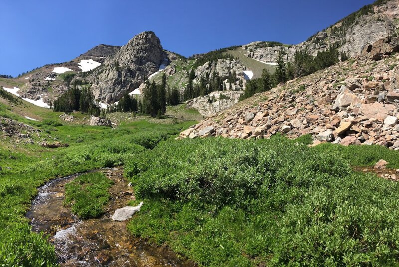 High in Open Book Canyon.