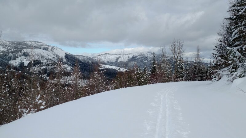 A shoulder of Mt. Spokane, 5,883 ft., is on the left. Other 5,000 foot mountains in the distance, are center left. Seen looking northeast from Lower Tripps Loop/M8A-IEPCO Road in February.