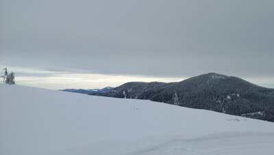 Quartz Mountain (5,157ft.) and Horse Mountain (5,092 ft.) nearby on the right, looking southwest from the high point at the east end of Tamarama Trail/M8B IEPCO Road.