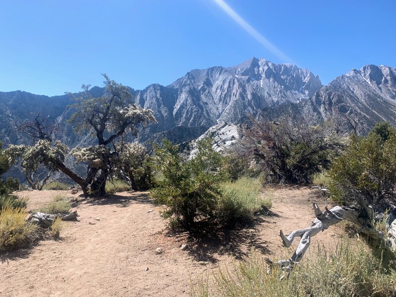 Shepherd Pass Trail