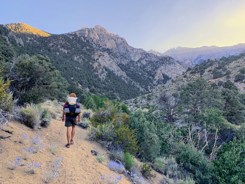 Shepherd Pass Trail