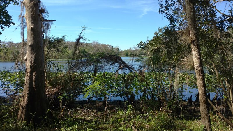 Saint Johns River at the end of Pine Island Trail.