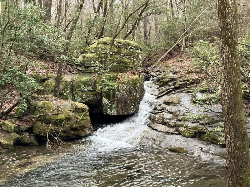 Azalea Cascade, off the Talmadge Butler Boardwalk Trail.