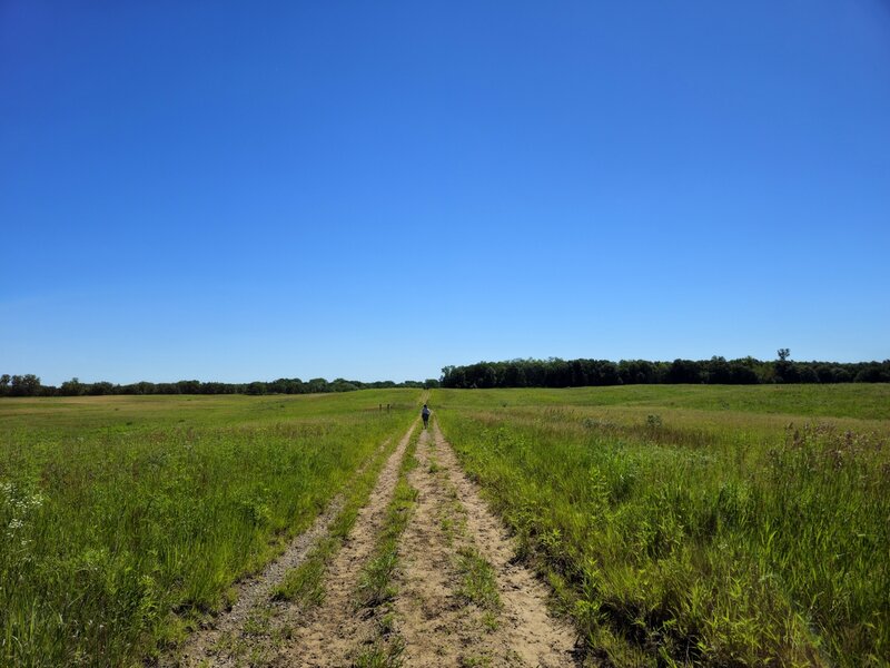Cross the prairie toward Trail Intersection 2.