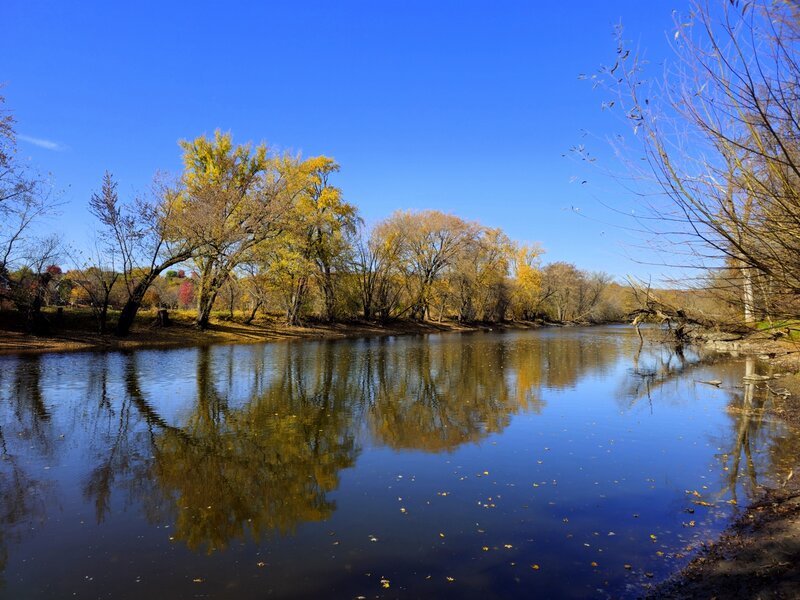 Fall color along the Crow River from the canoe landing.