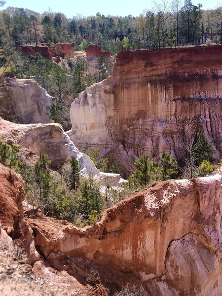 Providence Canyon St Pk from trail rim.