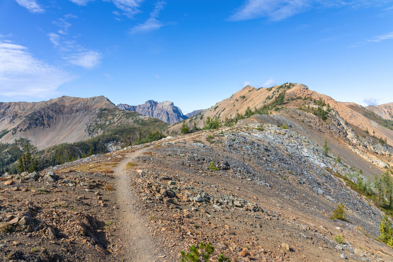 Tatie Peak and Syncline Mountain with Mount Ballard in the distance.
