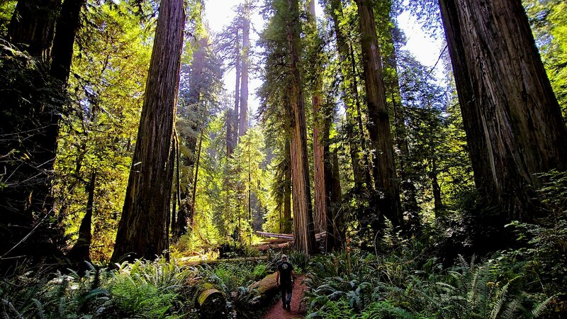 Simpson-Reed Trail.