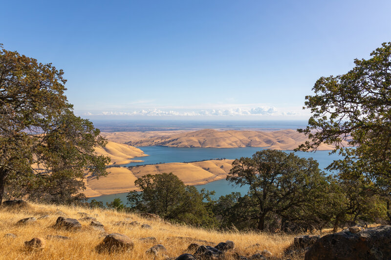 Los Vaqueros Reservoir through the trees.