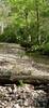 Many creek crossings.