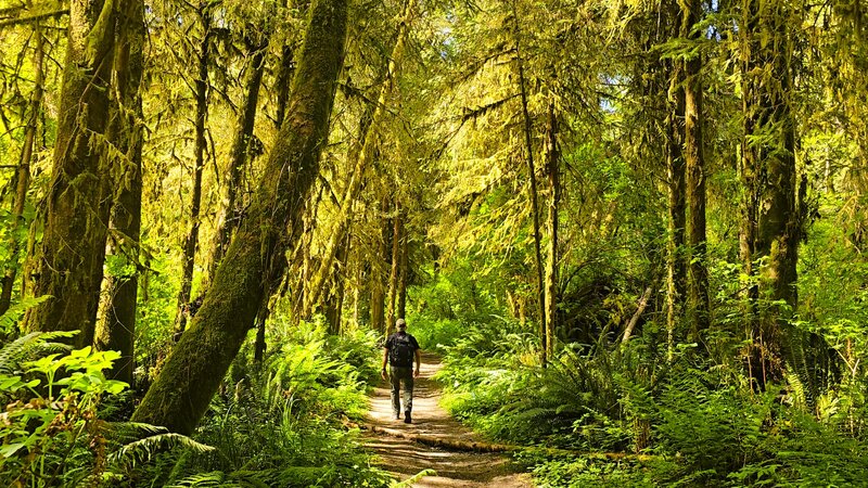 Trail to Hidden Beach