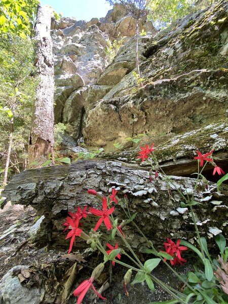 A rock formation on the north side of the loop.