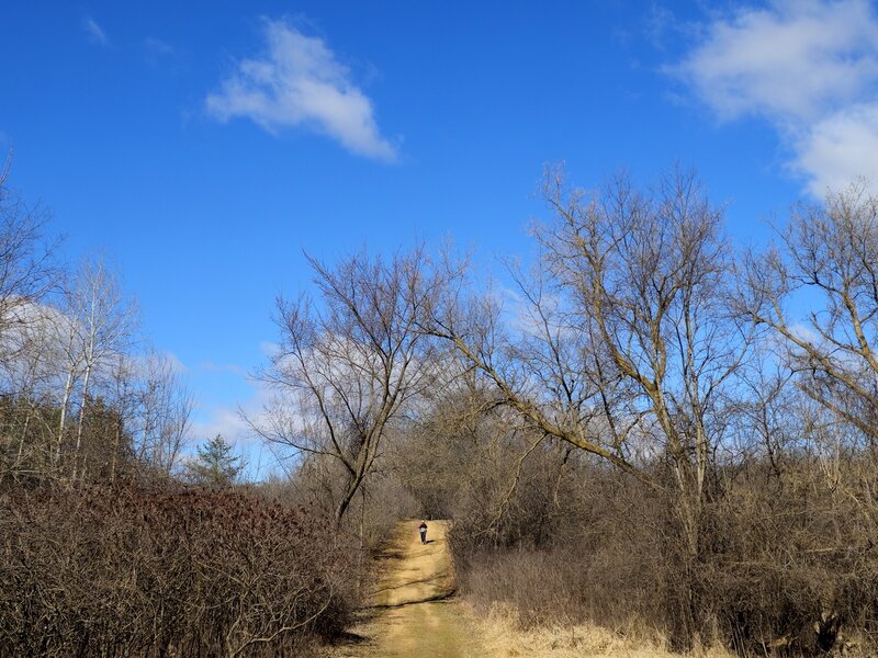On the hiking trail toward Intersection 110.